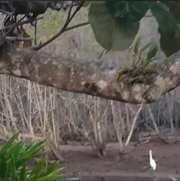  Apartamento Maranduba