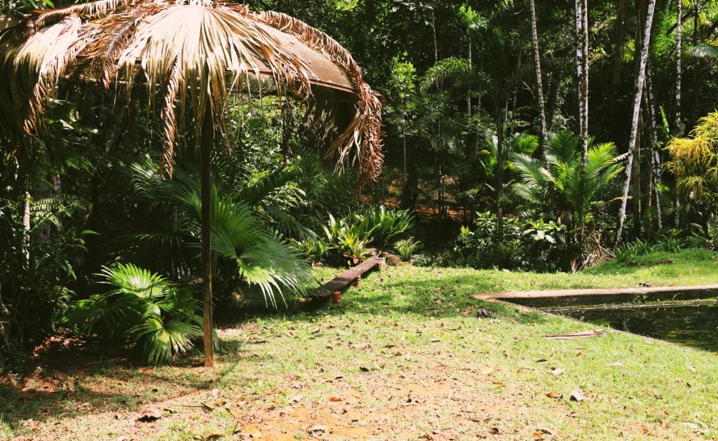 Sitio c/ piscina natural