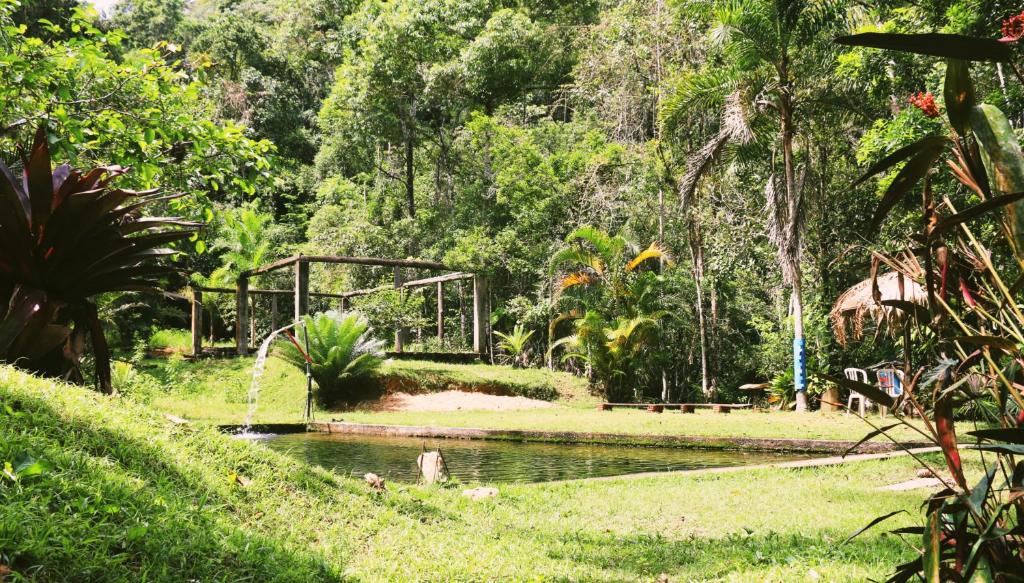 Sitio c/ piscina natural