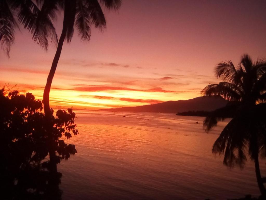 a sunset over the ocean with palm trees at bungalow lagon view in Moorea