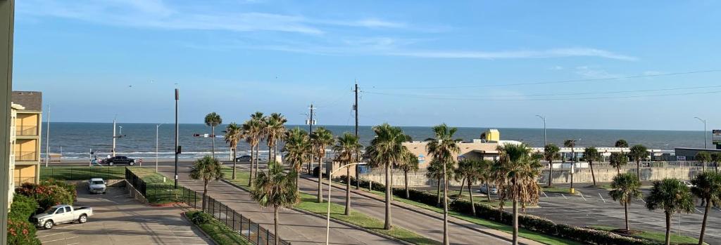una vista di una strada con palme e l'oceano di Dockside Daze! a Galveston