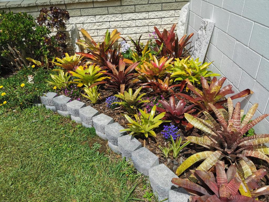 Kerikeri Sunny Modern 2 Bedroom Apartments - Resim 27