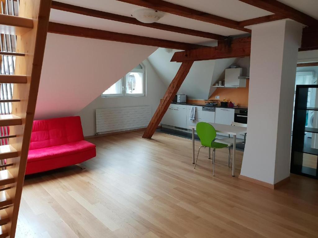 Homestay Zurich center