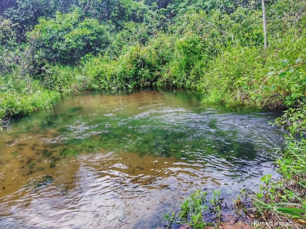  Fazenda rio Vermelho