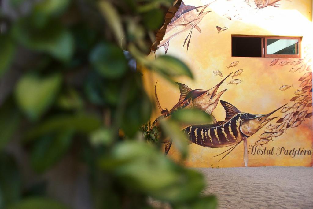 Foto dalla galleria di Paziflora Hostel -STARLINK- a Puerto Escondido
