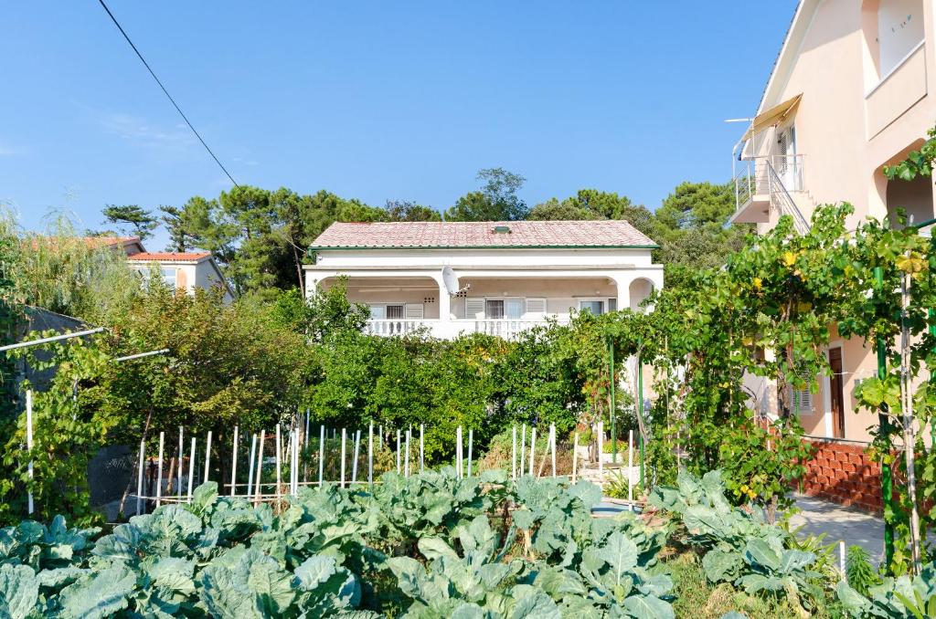 a garden of vegetables in front of a house at Apartments Luce in Lopar