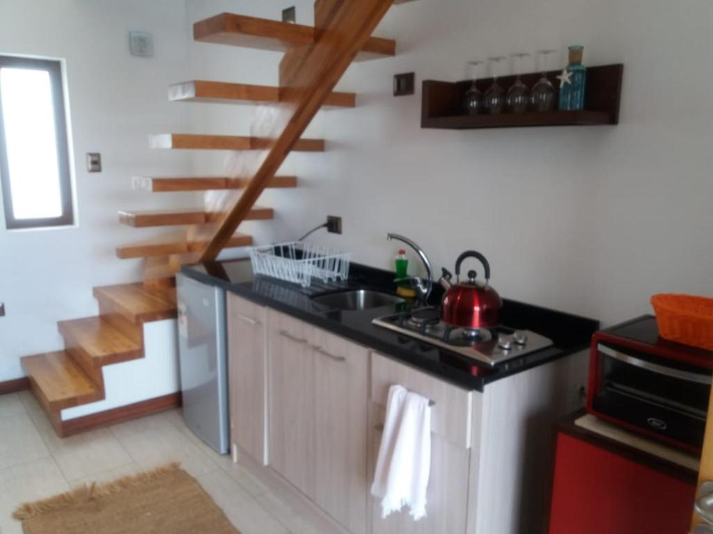 Kuchyň nebo kuchyňský kout v ubytování Loft Terrazas de Cachagua