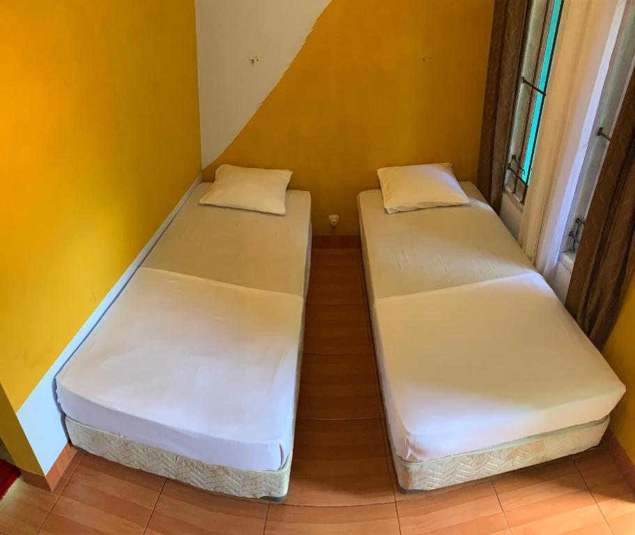 YOLO Oasis Hotel