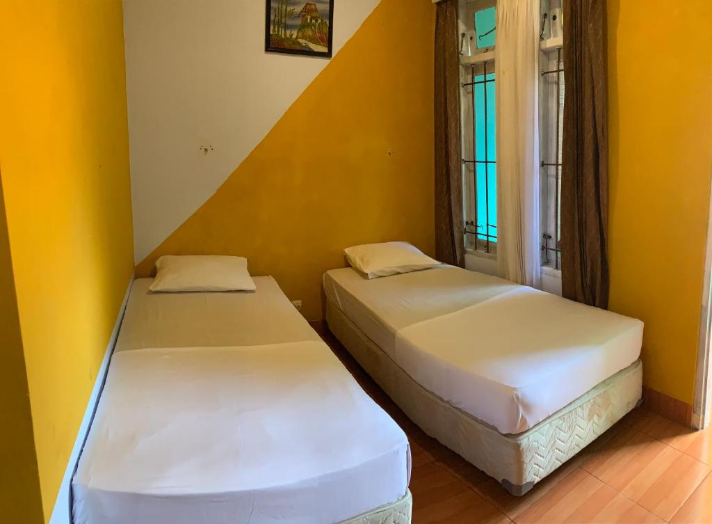 YOLO Oasis Hotel