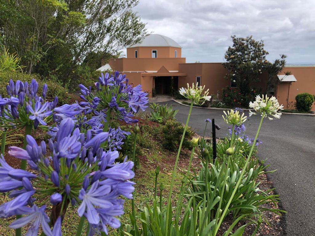 un jardín con flores púrpuras frente a un edificio en Casa Vista, en Bangalow