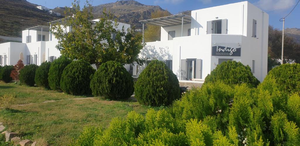 a row of trees in front of a white building at Indigo Studios in Livadi