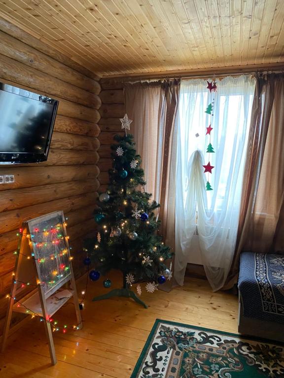 TV a/nebo společenská místnost v ubytování Cottage Marko