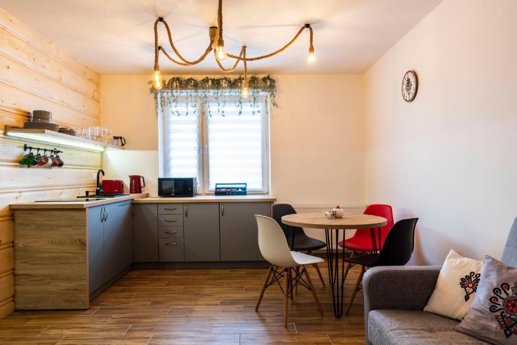 Kuchyňa alebo kuchynka v ubytovaní Apartament Hanki przy Krupówkach