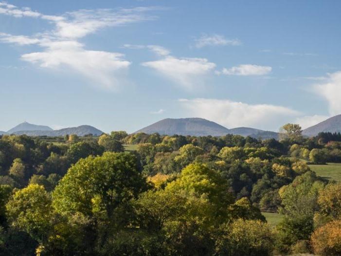 a view of a forest with mountains in the background at Rêves de Bois in Loubeyrat