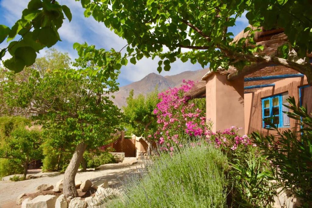 a house with pink flowers and a mountain in the background at Refugio Misterios del Elqui in Pisco Elqui