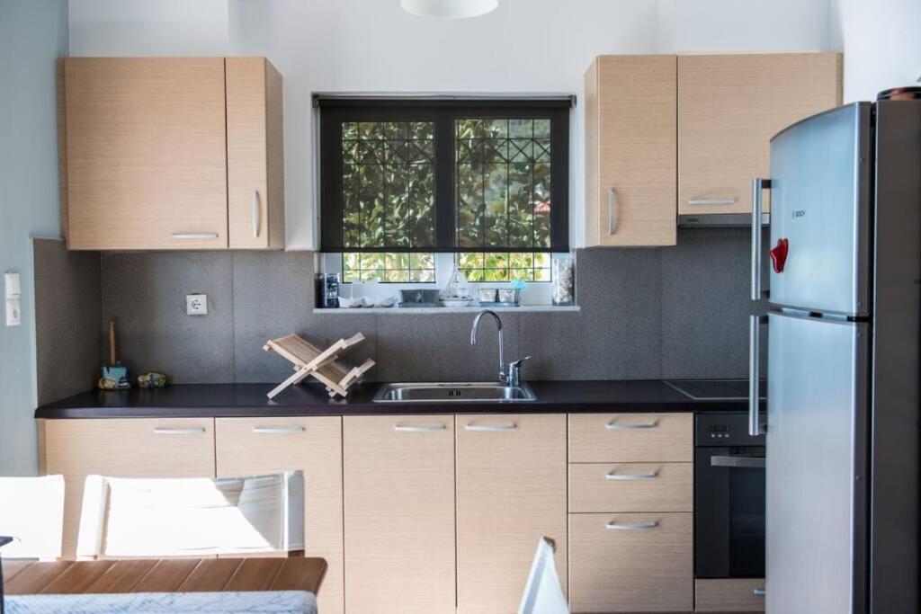 Kuchyň nebo kuchyňský kout v ubytování Apollo Romantic Sea View Villa