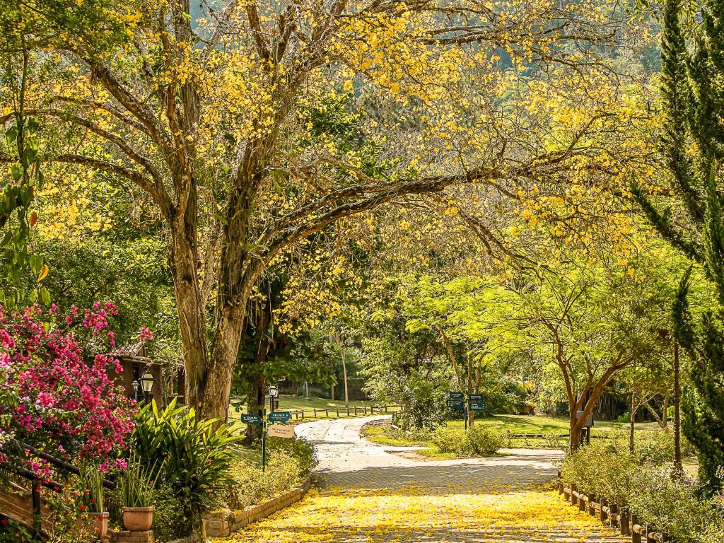  Fazenda Gamela Eco Resort