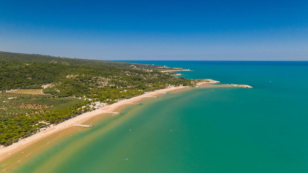 una vista aerea su una spiaggia e sull'oceano di Villaggio Camping Spiaggia Lunga a Vieste