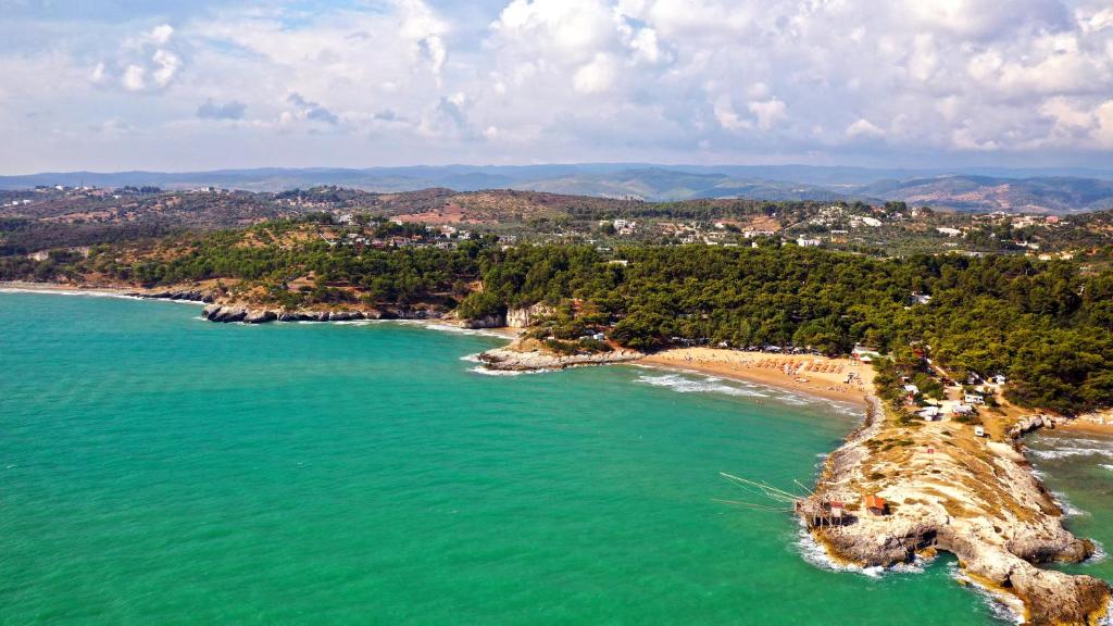 an aerial view of a beach and the ocean at Villaggio Camping Punta Lunga in Vieste