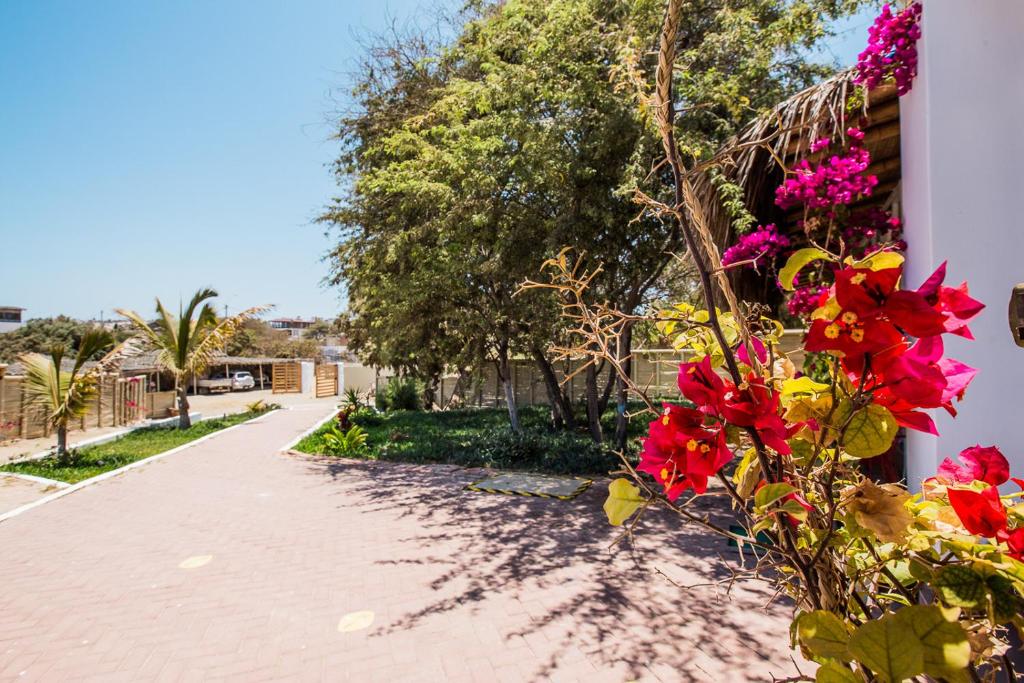 Zahrada ubytování Kokoa Hotel Vichayito