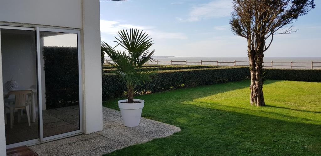 un palmier dans un pot à côté d'une maison dans l'établissement Les Rochers de Vallières, Appartement de 35 m2 avec 1 chambre, Terrasses, Jardin 140 m2, Vue panoramique face à l'Océan !, à Saint-Georges-de-Didonne