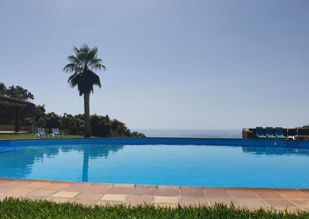 a large blue swimming pool with a palm tree and the ocean at La Casa del Burro in Nerja