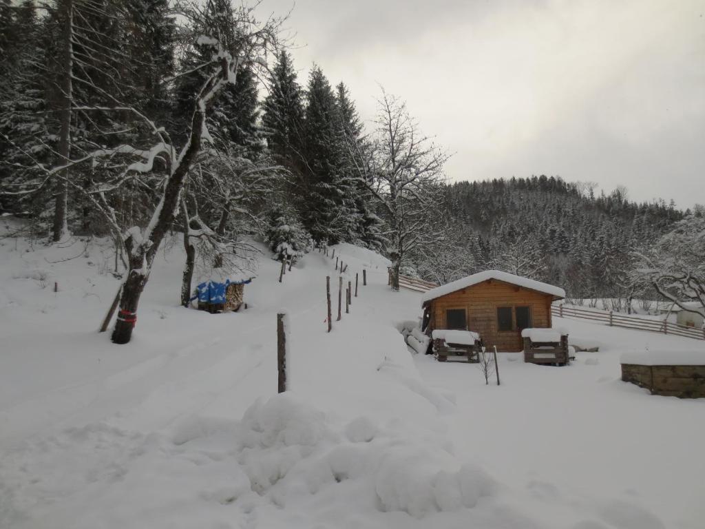 Landhaus Ziegelstadel v zimě