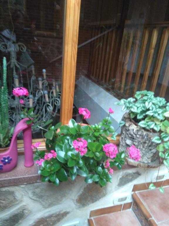 Jardín al aire libre en Caserón Trastamara