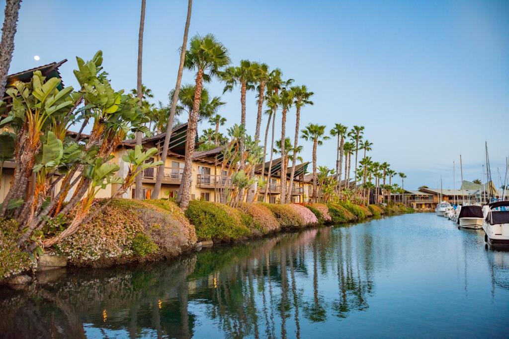 a canal with palm trees and houses and boats at Humphreys Half Moon Inn in San Diego