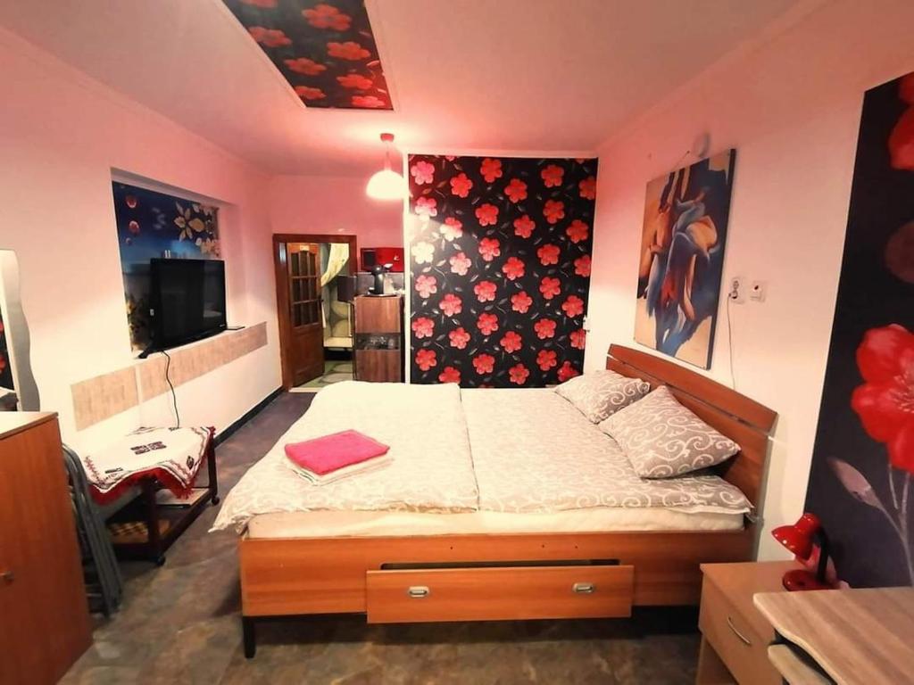 a bedroom with a bed in a room with a tv at Hostel Pascalis Alesd in Aleşd