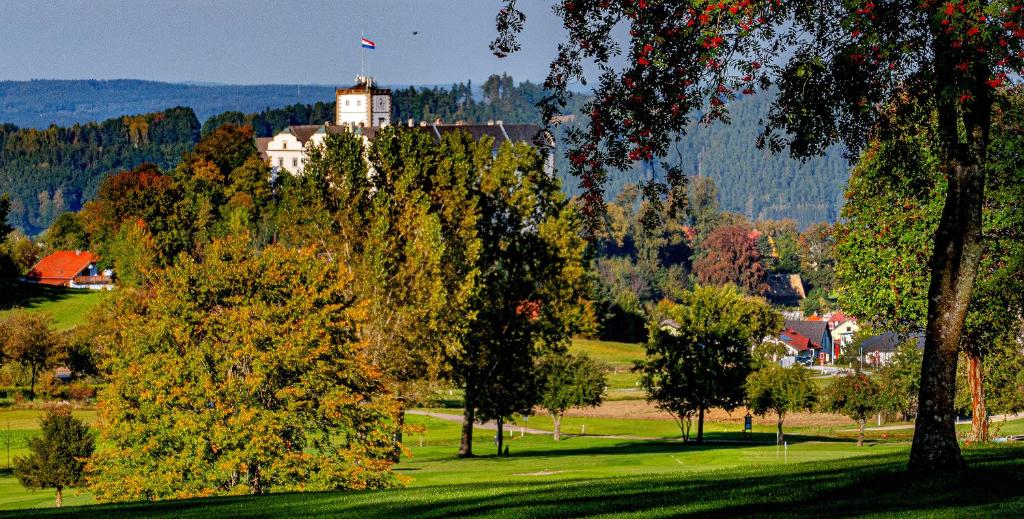 Příroda nedaleko hotelu