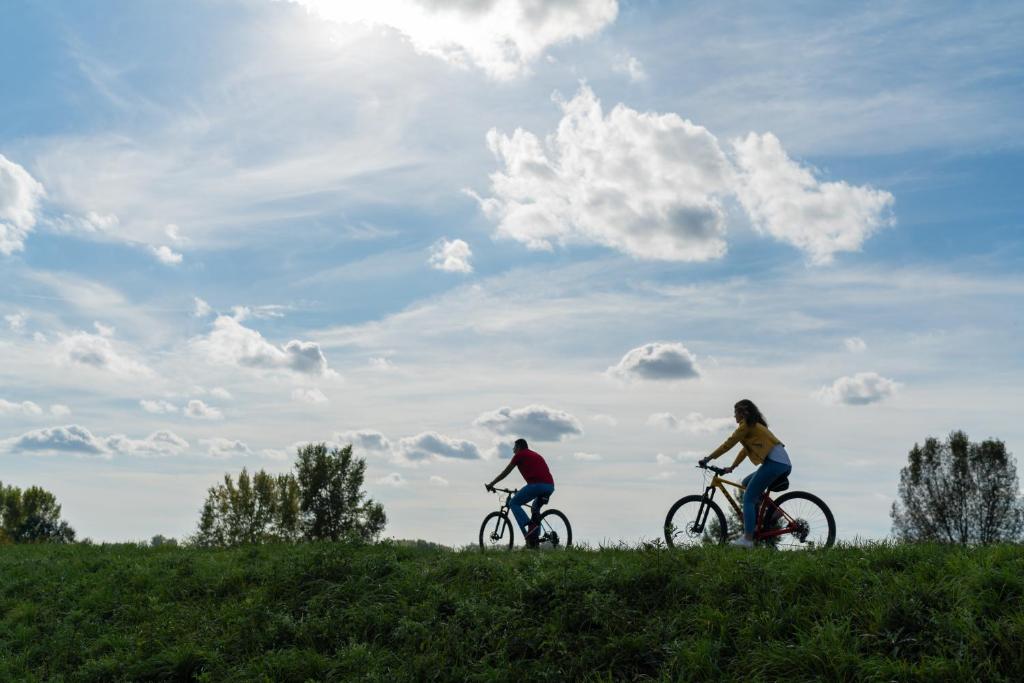 Barok Hotel and Apartments - Resim 21