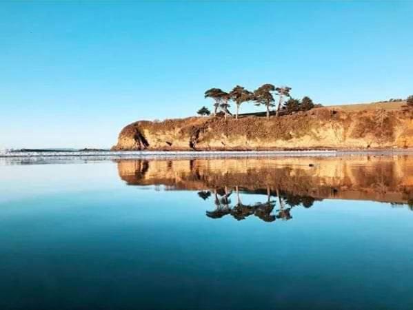 un cuerpo de agua con árboles en la orilla en Les Terrasses du Ris, en Douarnenez