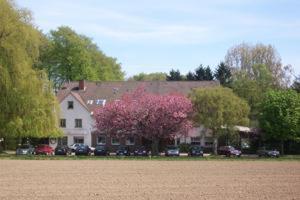ゲオルクスマリーエンヒュッテにあるHotel Waldesruhのピンクの木が目の前にある家