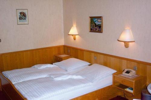 Hotel Waldesruh - Double Room