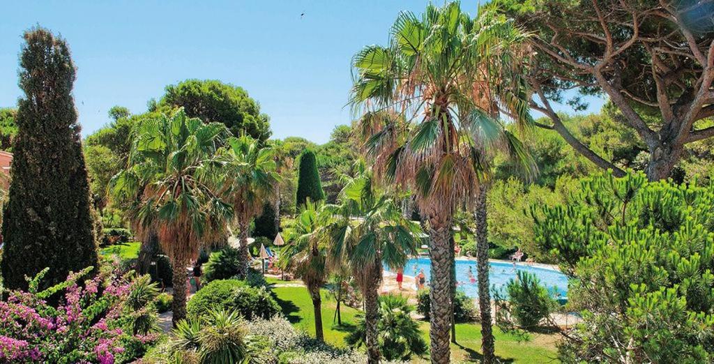 Gallery image of LA BADINE 5p Plage piscine clim jacuzzi parc luxuriant in Hyères