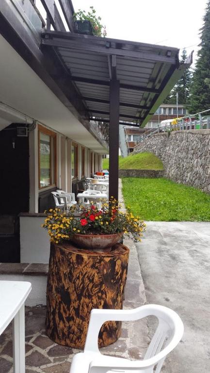 Zahrada ubytování Residence Abete