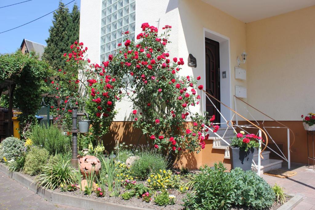 a garden with roses and other plants in front of a building at Ferienwohnung Rosemarie in Kamp-Bornhofen