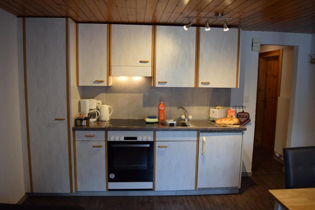 Kuchyň nebo kuchyňský kout v ubytování Ferienwohnung Delphin