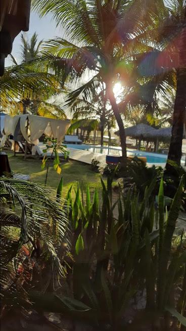  Hotel Boutique Zebra Beach