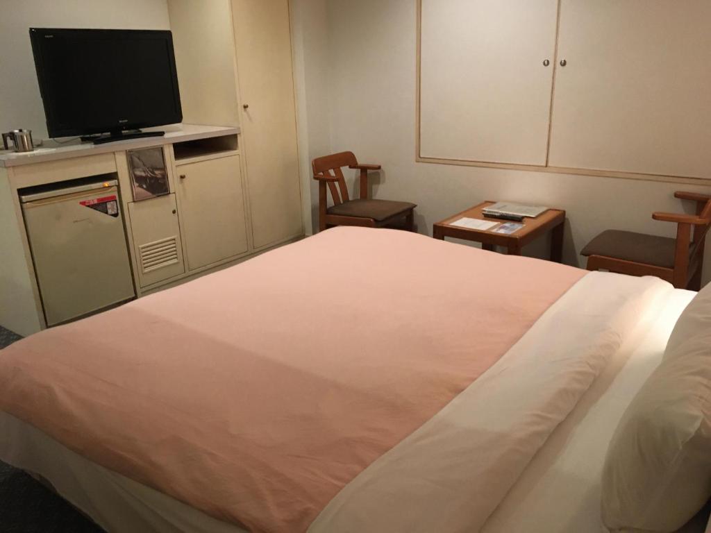 TV a/nebo společenská místnost v ubytování Hotel Noel