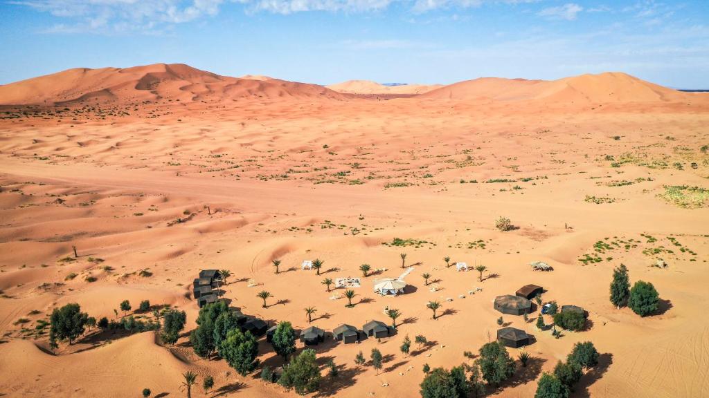 an aerial view of a desert with a herd of animals at Madu Luxury Desert Camp in Merzouga
