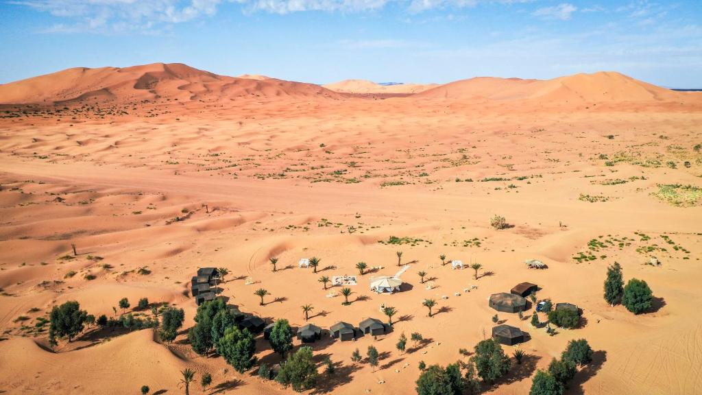 una vista aerea di un deserto con un branco di animali di Madu Luxury Desert Camp a Merzouga