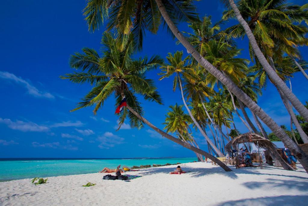 a group of people on a beach with palm trees at Kaani Beach Hotel in Maafushi