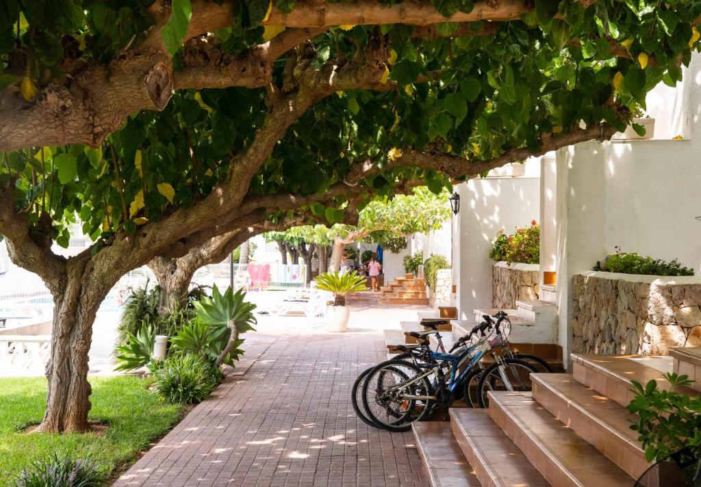 Apartamentos Els Romers Benicarló-Peñíscola, Benicarló ...