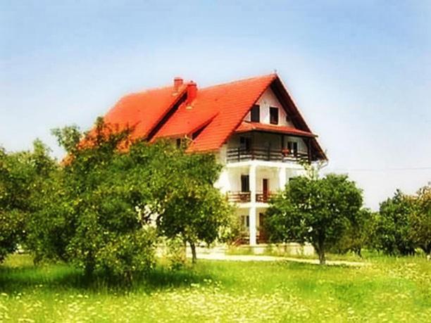 a house with a red roof on a green field at Pensiunea din Livada in Bran