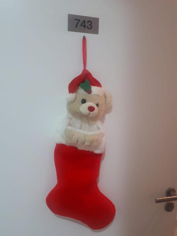  Viva Feliz