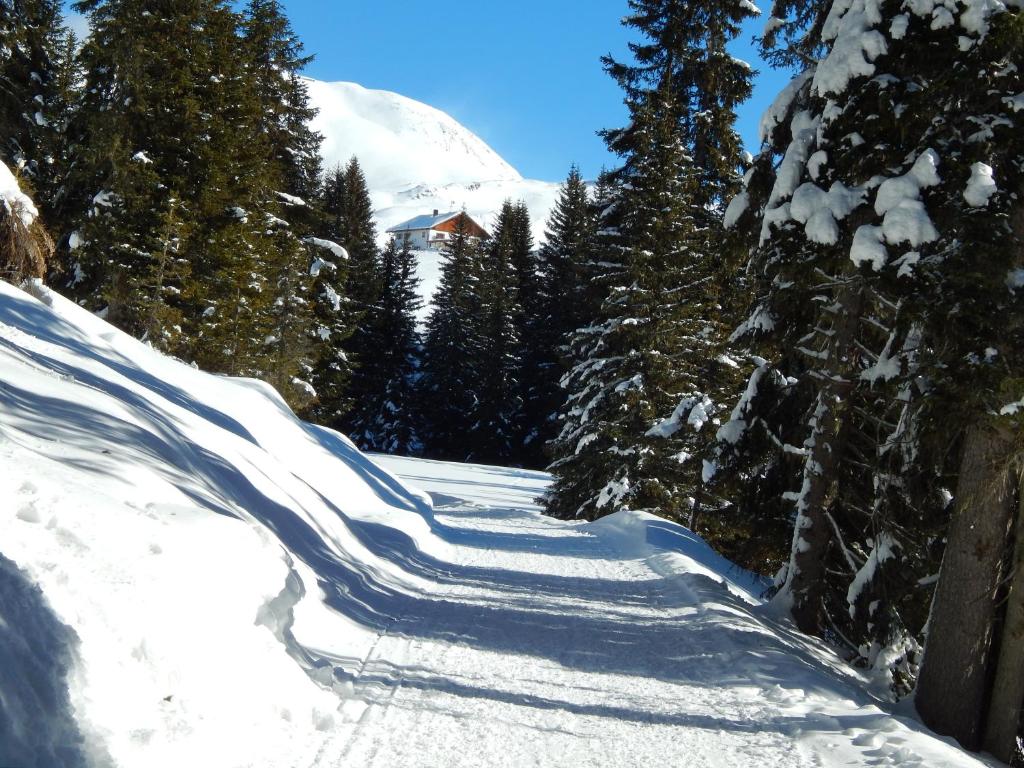 Residence La Pineta during the winter
