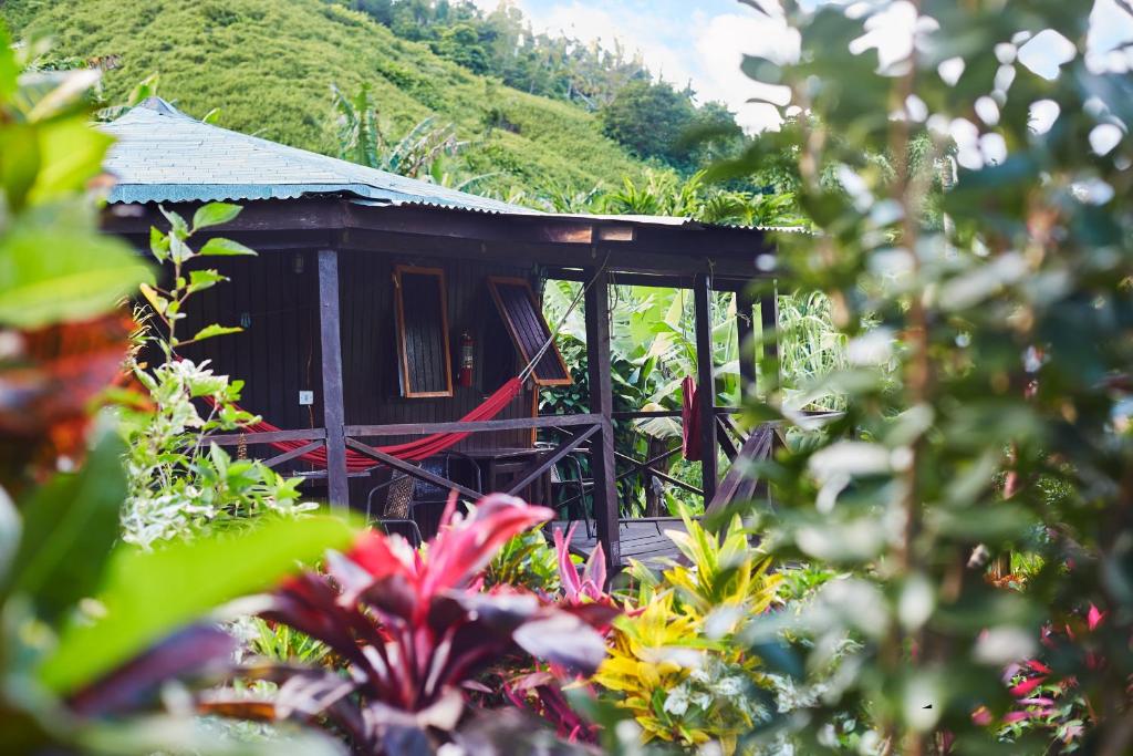 a small house in a garden with flowers at Hibiscus Valley Inn in Marigot