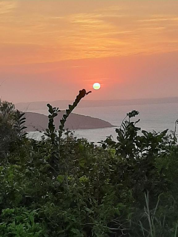  APARTAMENTO PRAIA FORTE